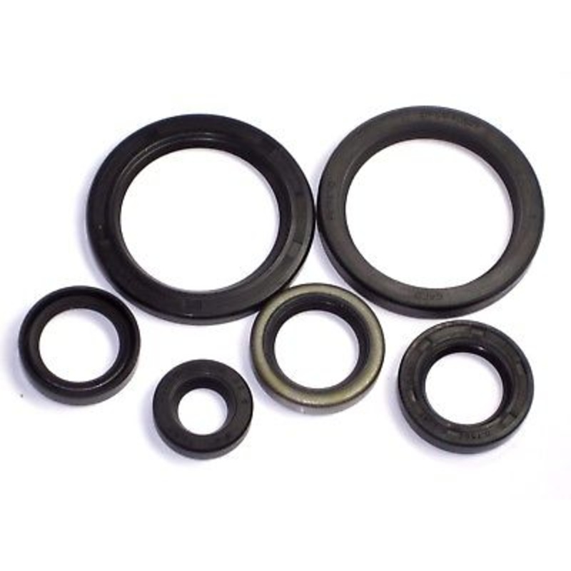 Engine oil seal kit B25 B44 B50 TR25 seals set unit single BSA Triumph