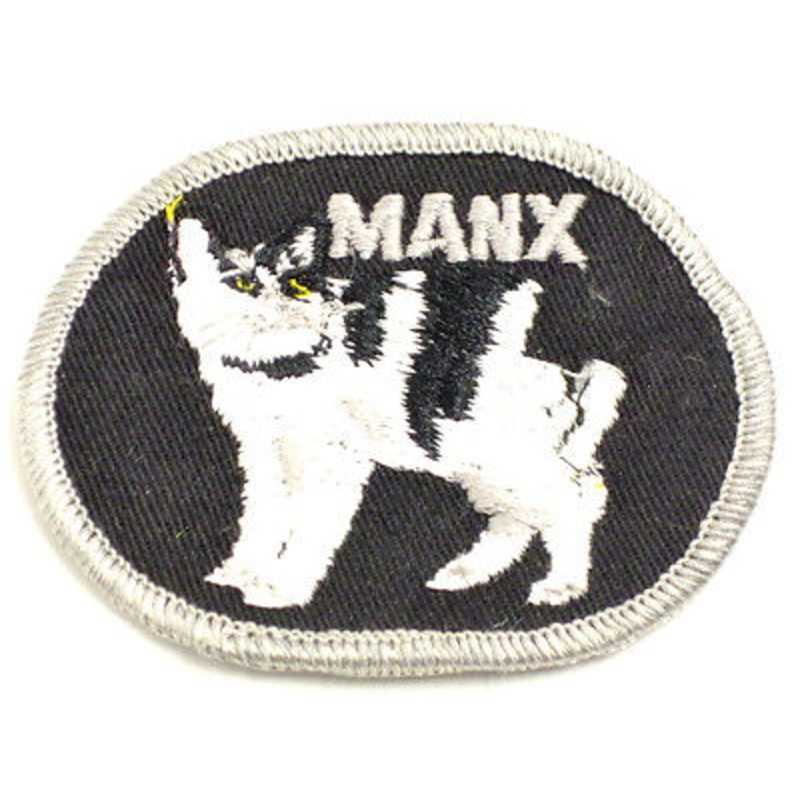 Manx arm flash motorcycle jacket embroidered 1960s Vintage patch Isle Of Man