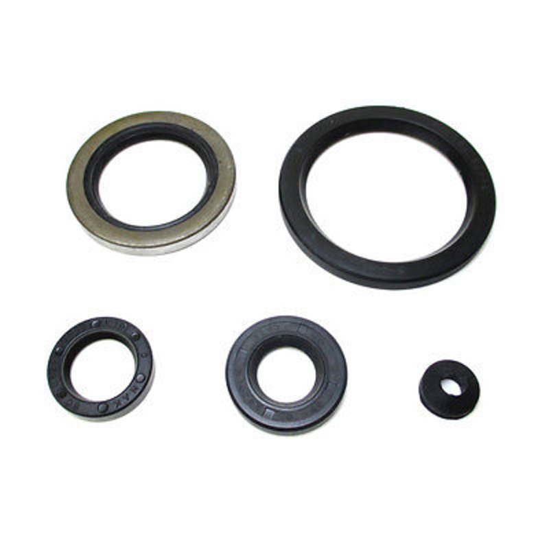 Oil Seal Set Engine Gearbox Norton Atlas Commando 750 1967-1973