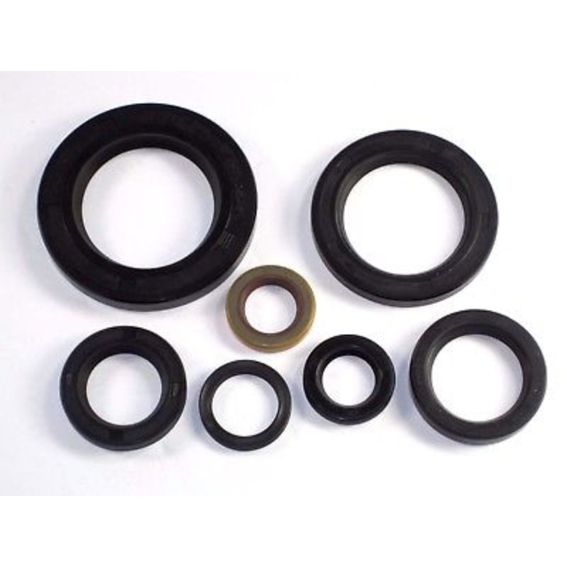 TRIUMPH 650 engine seals set 63 64 65 66 67 68 69 70 71 72 oil seal kit  4 speed