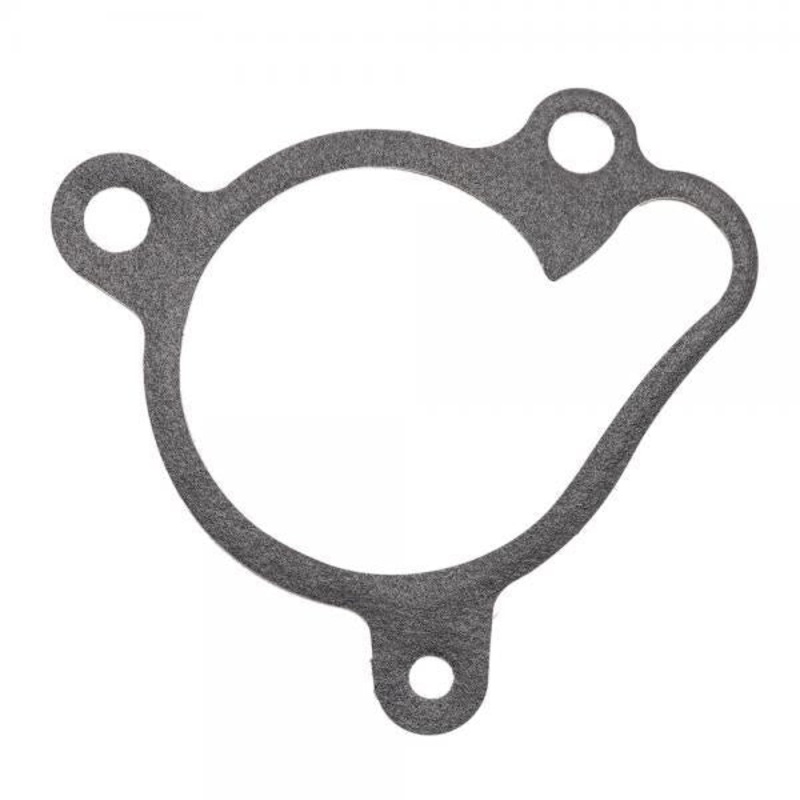 TRS ONE RR GOLD WATER PUMP COVER METAL GASKET 0.6MM 02008MT100 2019 ON