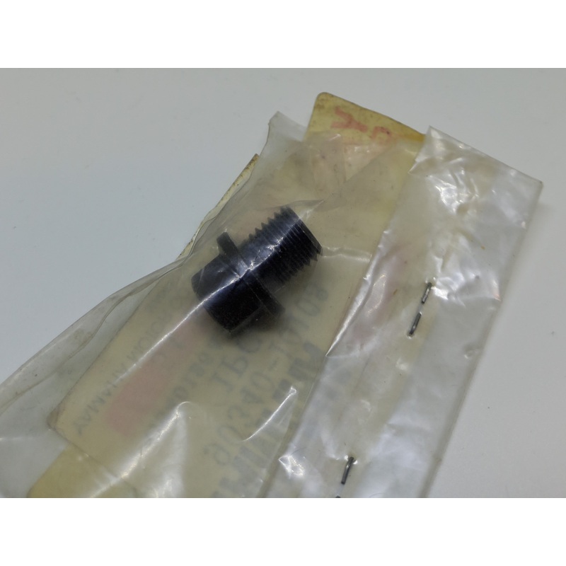 SCORPA SY250 LOWER CRANKCASE DRAIN BOLT