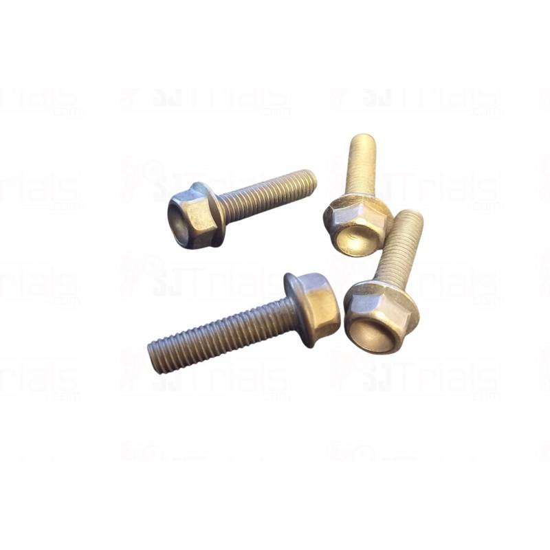 SCORPA SHERCO M5 X 20 FLANGED HEAD BOLT