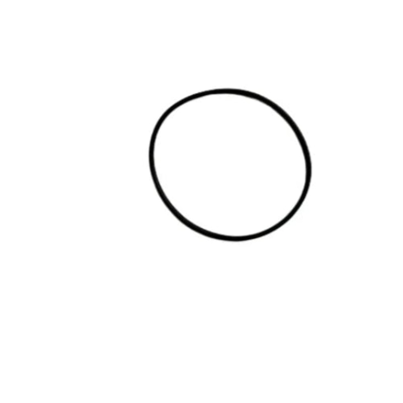 SCORPA SHERCO WATERPUMP O RING