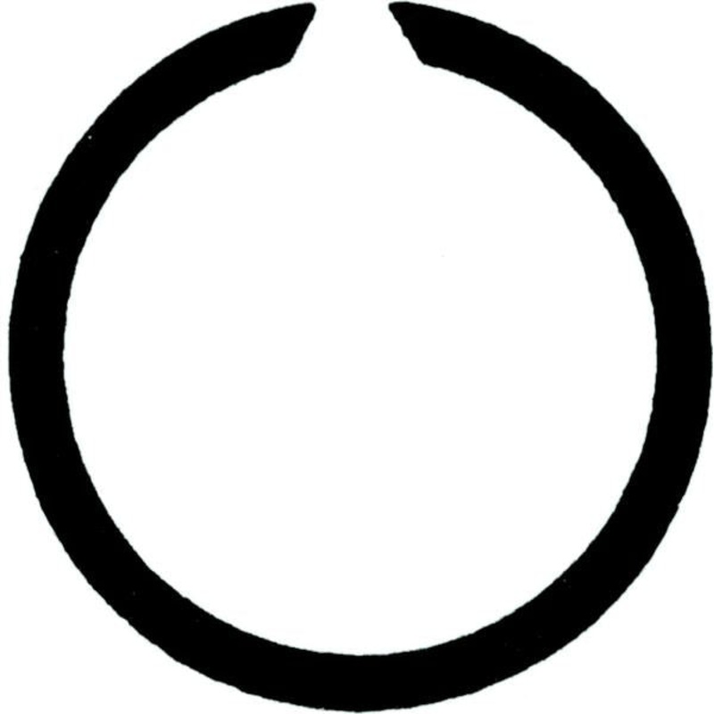 SW 17 SNAP RING