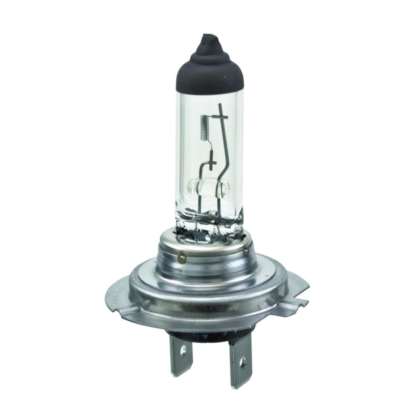 Hella Halogen H7 Bulb