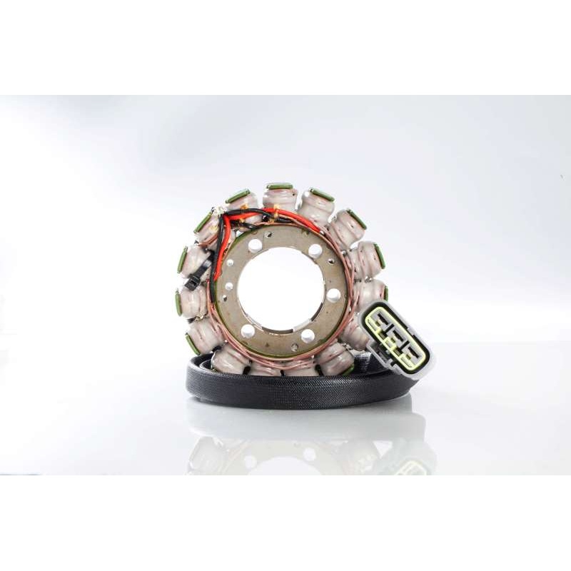 Ricks Motorsport Kawasaki Stator