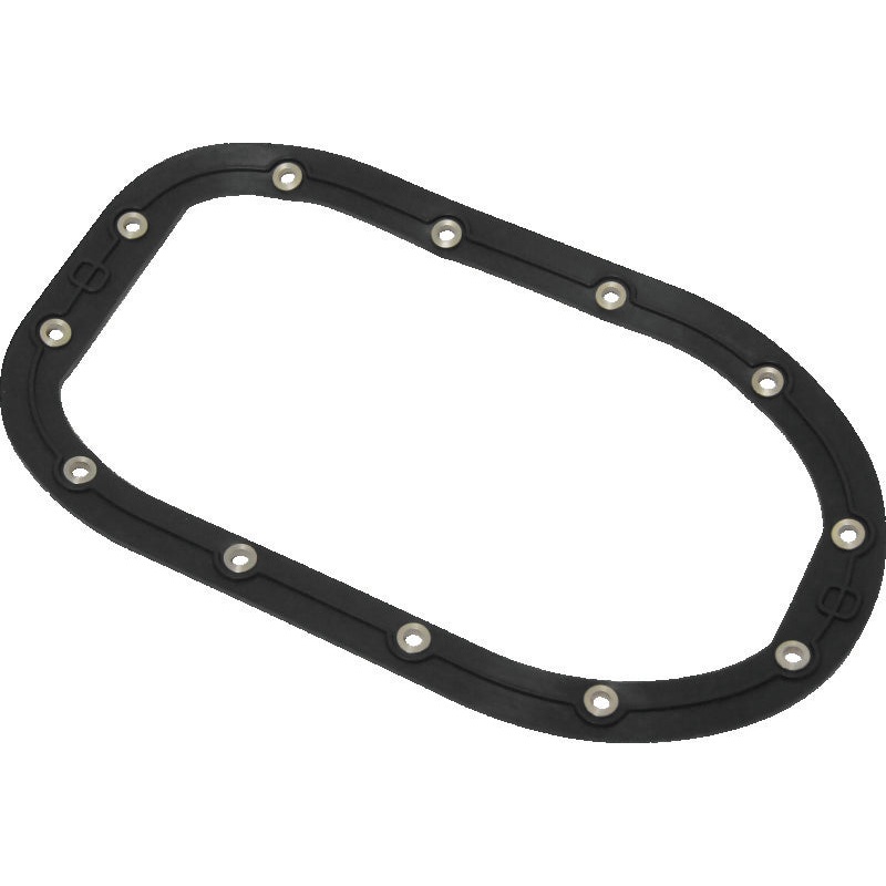 Twin Power 06-17 Dyna Models Fuel Pump Plate Seal Viton Replaces H-D 75248-04