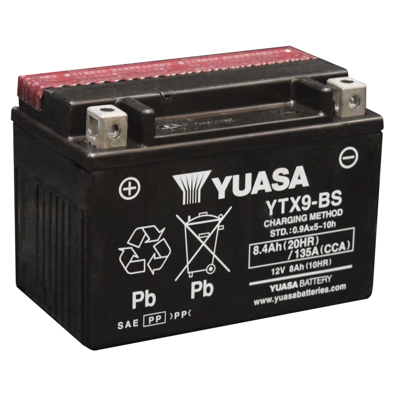 Yuasa YTX9-BS Maintenance Free AGM 12-Volt Battery w/Bottle
