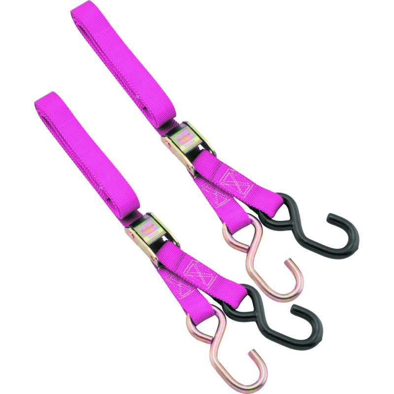 BikeMaster 1in Tiedown – Pink