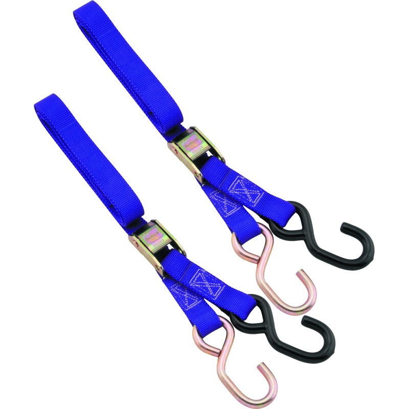 BikeMaster 1in Tiedown – Purple