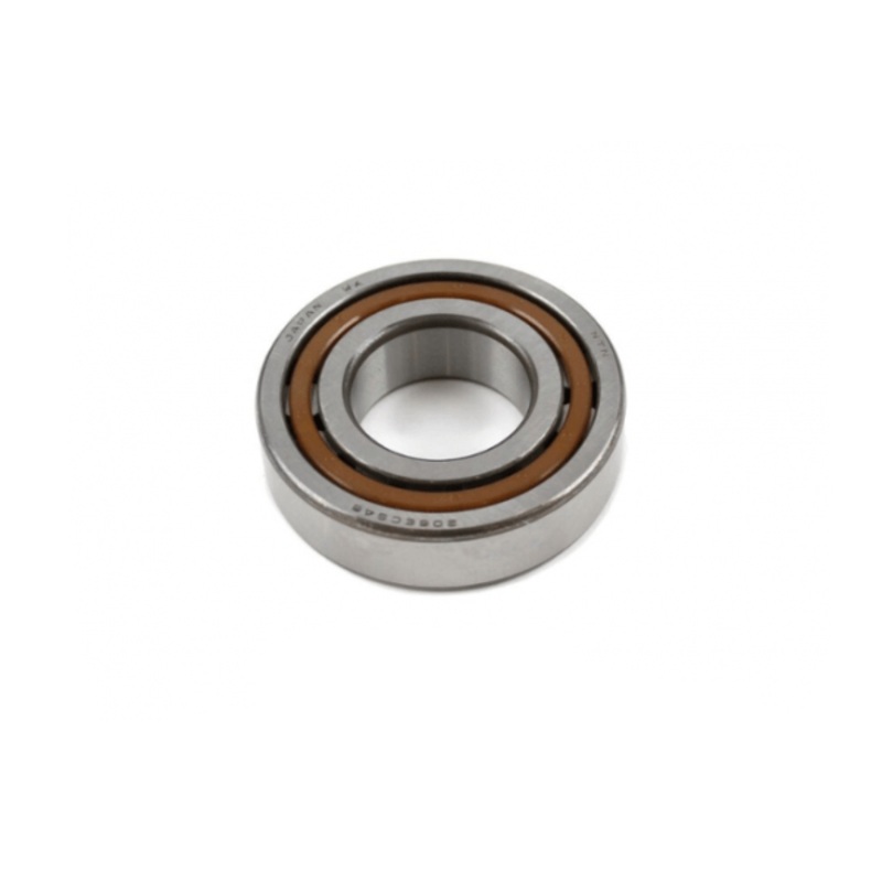 CYL.ROLLER BEAR.NJ206 ET2XCS46