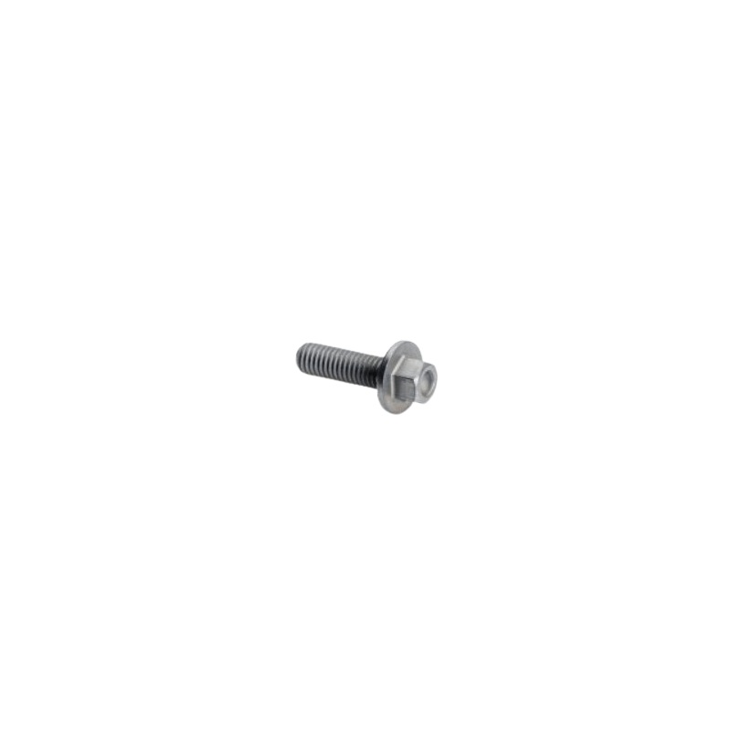 HH COLLAR SCREW M 5X16    WS 6