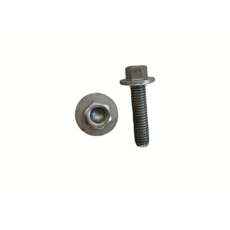 HH COLLAR SCREW M 5X20    WS 6