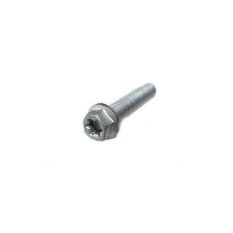 HH COLLAR SCREW M6X10     TX30