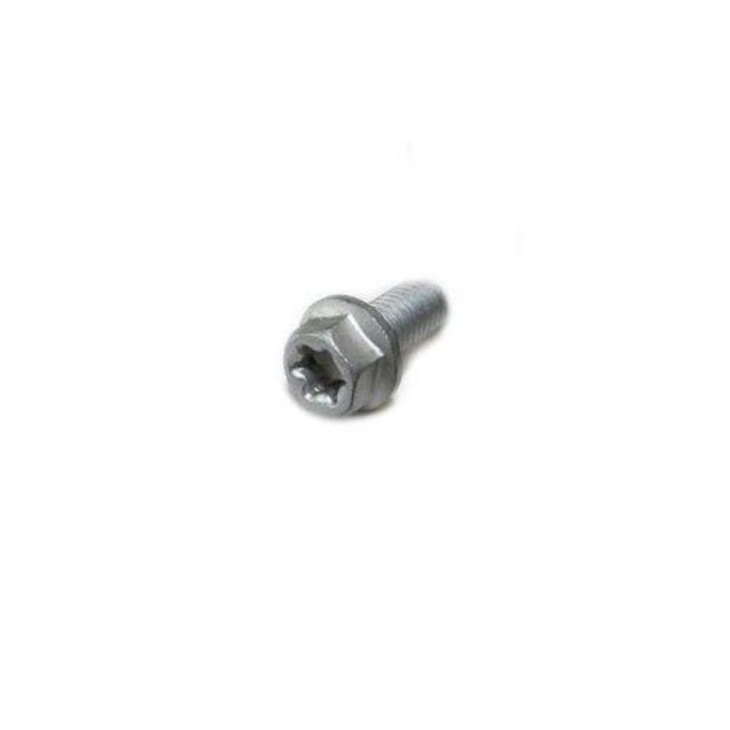 HH collar screw M6x16 TX30