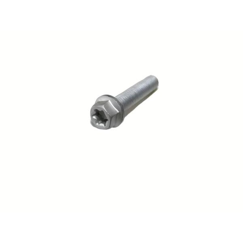 HH COLLAR SCREW  M6X45    TX30
