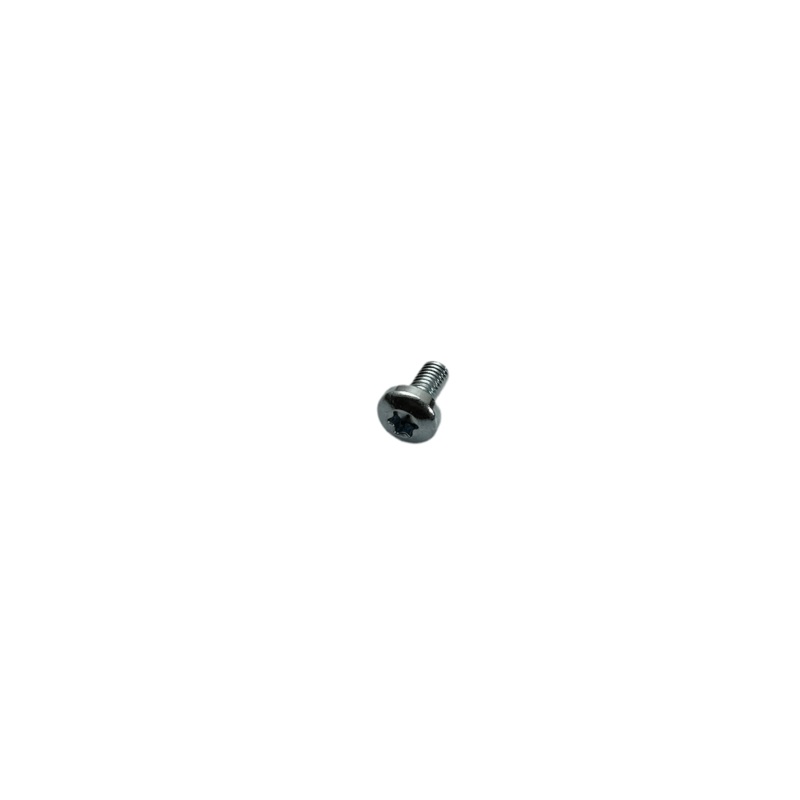 INT. TORX OVAL HEAD M 5X10 8.8