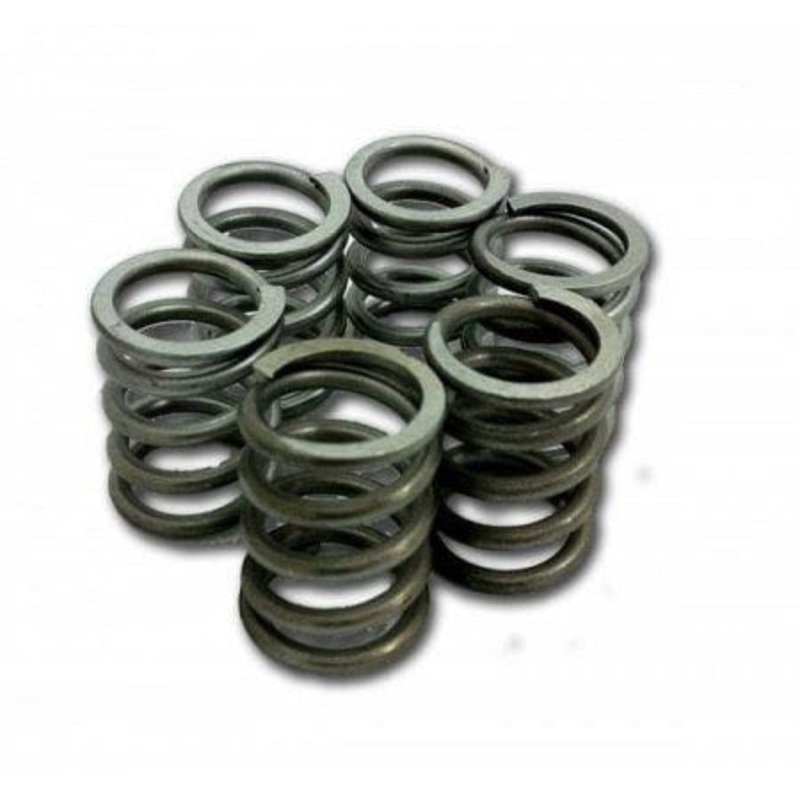 CLUTCH SPRING KIT