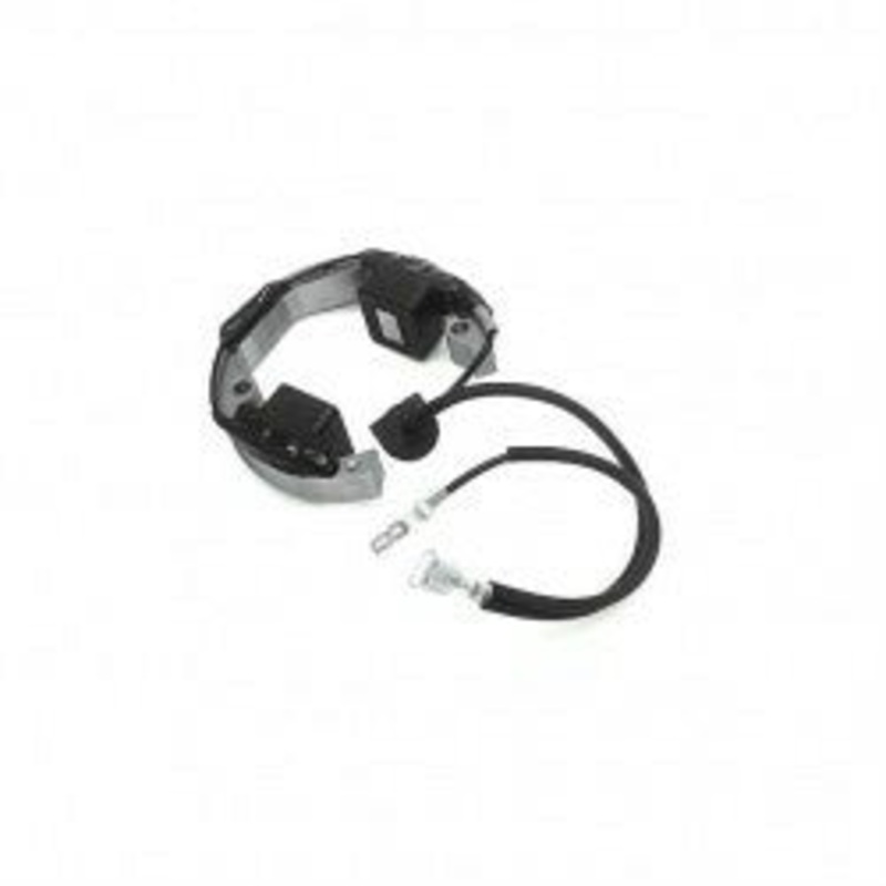 FLYWHEEL STATOR 50CCM LC 2001