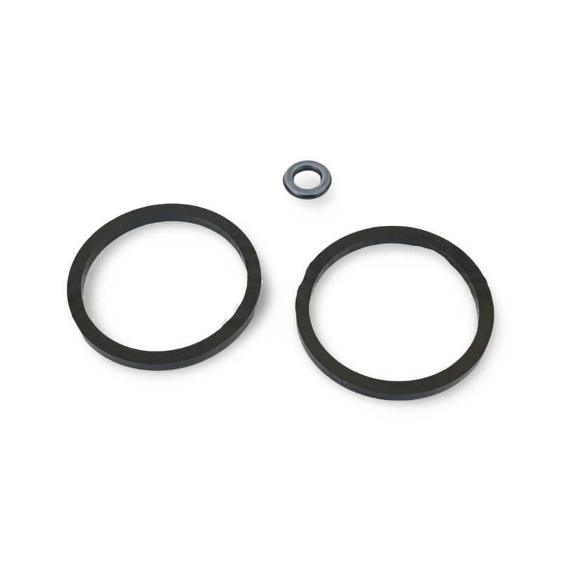 REPAIR KIT SEAL RING